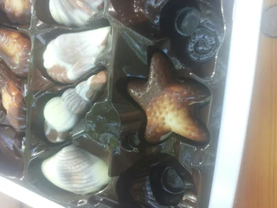 j.....k - #pdk #heheszki chocolate starfish