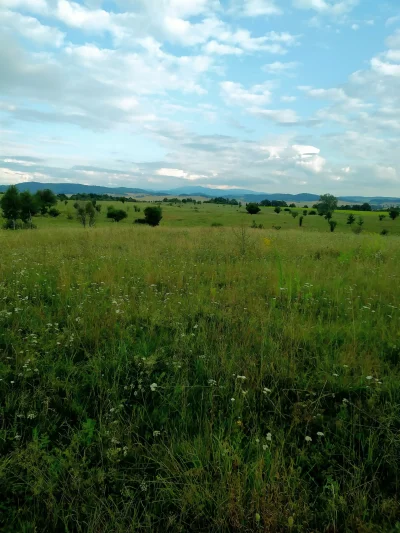 M.....e - Lubimy tu przychodzić, bo nikogo tu nie ma, jesteśmy sami 
#ladnemiejsce