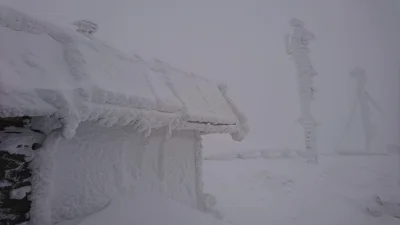bobok - Chatka Puchatka zimą, zdjęcie z sylwestra