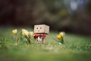 bobiko - #danbo http://gloeckchen.deviantart.com/art/Danbo-March-Wallpaper-157558683 ...