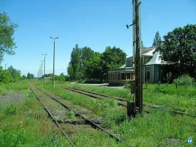 dizzapointed - Dworzec w Śniadowie przy wyłączonej już linii kolejowej Łapy - Ostrołę...