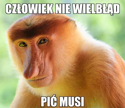 smierczgrzybow - @smierczgrzybow: #nosaczsundajski #polak #humorobrazkowy
