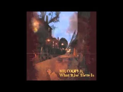s.....a - Mr Cooper - Part 02 (What Else There Is)
#mirkoelektronika #instrumentalhi...