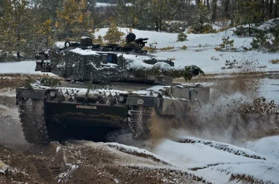 3.....m - #tankboners #wojskopolskie