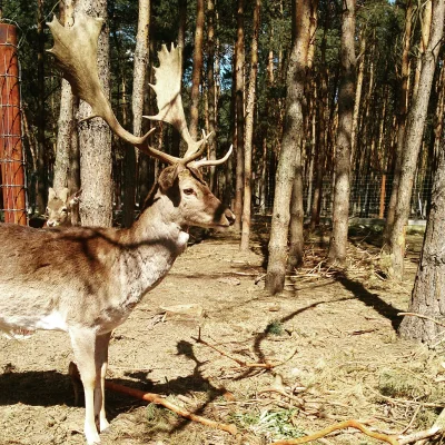 Pani_Kwiatek - Świetna atrakcja dla pacjentów Światowego Centrum Słuchu w Kajetanach ...