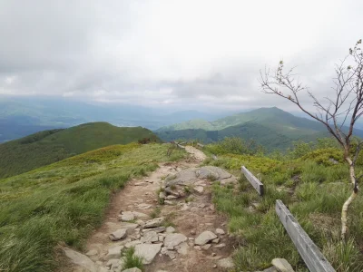 Revolwer - #bieszczady #poloninawetlinska #gory #earthporn #natura #trekking