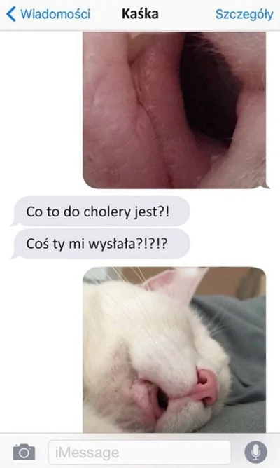 M.....a - #pussy #cat #koty #heheszki