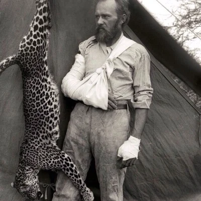 W.....s - Carl Akeley po zabiciu dzikiego leoparda gołymi rękoma. Rany na prawym rami...