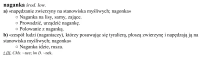 opakowanie_zastepcze - > co to jest "naganka"?

 to nagonka, nie "naganka"

@ArchD...