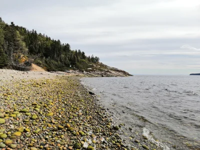 frogkiller - Dzień 15. Tadoussac. Miejsce w którym z lądu można oglądać walenie i bia...