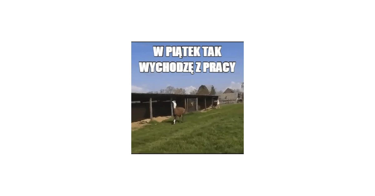 Piątek, piąteczek, piątunio ... #gif #piatek... - saint ...