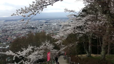 kaikadu08 - ja byłem w kwietniu na kwitnięciu wiśni, też pogoda nieciekawa.