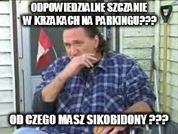 Prezydent_Polski - > odpowiedzialne szczanie w krzakach na parkingu

@CzeXD: