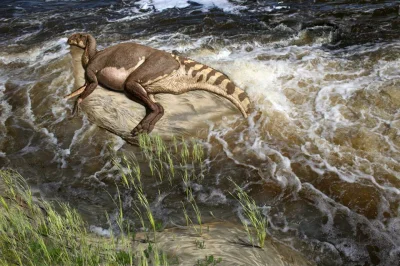 Prekambr - Brachylophosaurus canadensis
autor: Julius Csotonyi
#paleoart #paleontol...