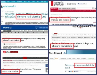 turkucpodjadek - > patologia - żeby dziennikarze nie sprawdzali dokładnie źródła,

...