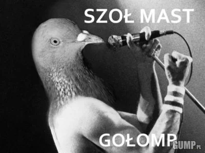 Maljevic - @wytrzzeszcz: Czemu w Gożowie? ( ͡° ʖ̯ ͡°)
@audiokoks: