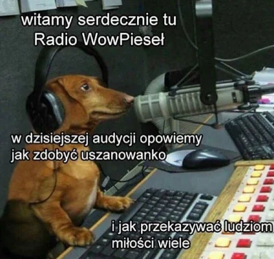 stokrotka364 - Radio WowPieseł zaprasza na specjalną audycję (｡◕‿‿◕｡) 

SPOILER

Miłe...