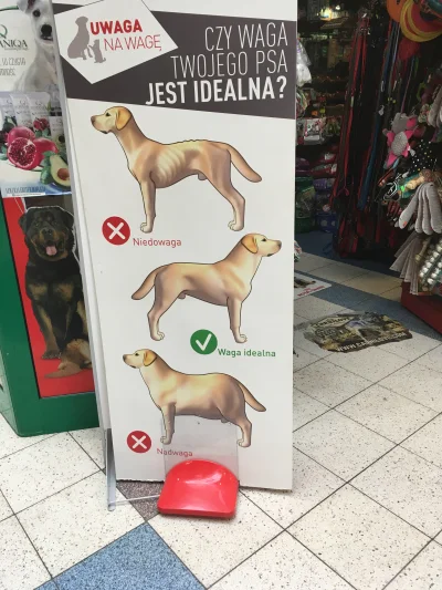 Estrelllla - >Dajcie plusa to przekonam ojca, żeby przestał pić

@liqui6: jak już doj...