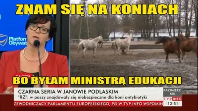 theone1980 - joannakluzik: Polskie konie radziły sobie świetnie przed zmianą władz st...
