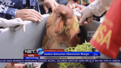 LM317K - #f1 #kubica Niby człowiek wiedzioł, że to zawieszenie nie przejdzie ale jedn...