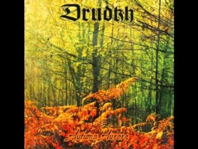 tomwolf - Drudkh- Wind Of The Night Forest
#muzykawolfika #muzyka #metal #blackmetal...