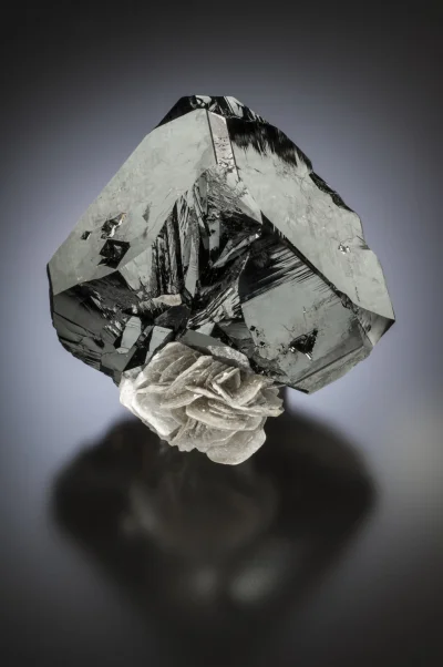 scruffy-duffy - Kasyteryt na muskowicie

#mineraly #mineralyboners #geologia #geolo...