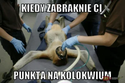 AllGoesWrong - #humorobrazkowy #heheszki #studbaza #sesja #nosaczsundajski