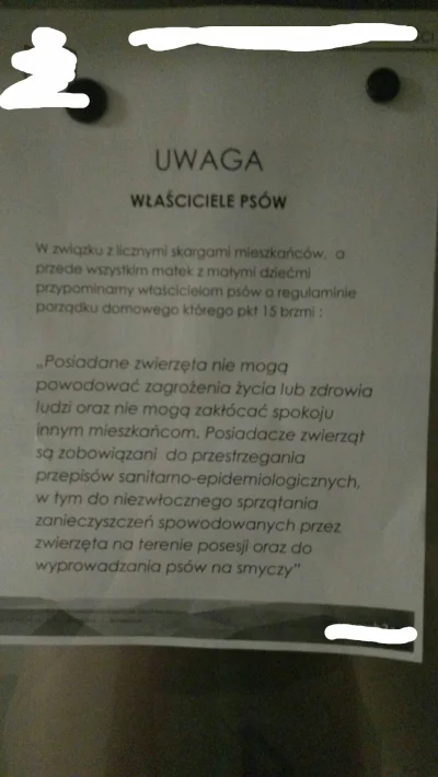 Quane - Odwieczna #polska walka osiedlowa pomiędzy #p0lka z #bombelek a właścicielami...