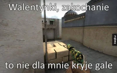 PUCYBUT - #csgo xd