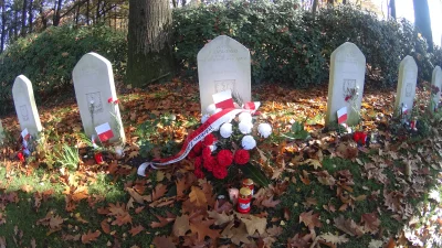 mrgrog - Cmentarz wojskowy w Oosterbeek (Holandia)
Polegli w Operacji Market Garden
...