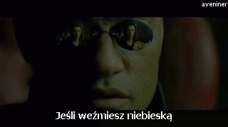 aveniner - #walesacontent #lechwalesacontent #gif #heheszki #leszeksmieszek