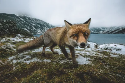 IcouldBeAnyone - #fotografia #mojezdjecie #tatry #earthporn #smiesznypiesek 
Ostatni...