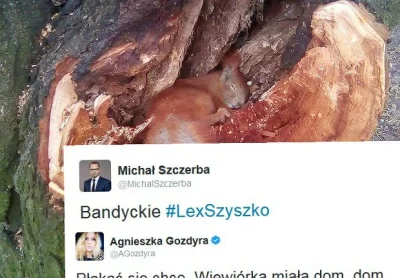 szczamnamlodziez - @Lluc: Poseł Szczerba nie widzi różnicy miedzy zdechłą wiewiórką w...