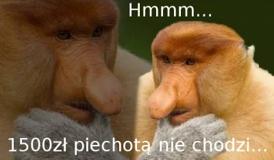 Nadajezpiwnicy - @PierwszyPuchacz: