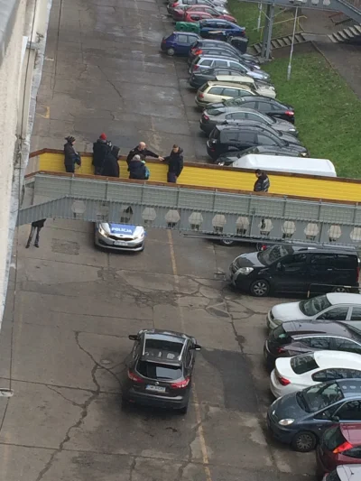 e.....5 - Siedzi człowiek w domu i nagle za oknem słyszę krzyk "Stój! Policja!" Wycho...