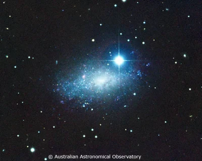 d.....4 - IC 5152

#kosmos #astronomia #conocjednagalaktyka #dobranoc