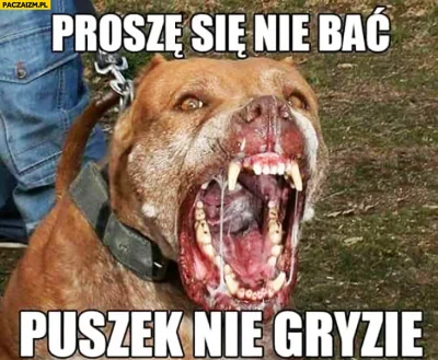 defoxe - >Spokojnie proszę pana, burek się tylko tak cieszy!