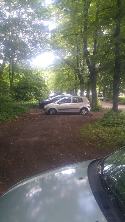 ziobro2 - Parking na dworcu w Dąbiu. Jak w lesie . Gówien tez sporo #szczecin #PKP