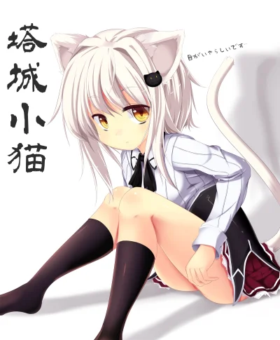 l.....f - #randomanimeshit #highschooldxd #konekotoujou #kemonomimi #nekomimi #school...