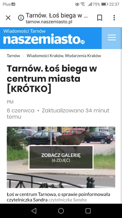 pietrek16 - Rodo pojechał do Tarnowa śladami majora 
#kononowicz #suchodolski #patost...