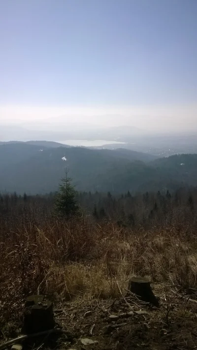 rebul4 - Wyszedłem dzisiaj z domu na spacer i takie widoki.. A wy co? znowu od rana n...