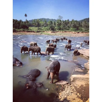 wysoko - Dzisiaj na #instagram oglądałam zdjęcia spod tagu #srilanka
Robią wrażenie,...