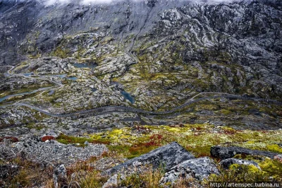 siwymaka - Droga Geiranger – Trollstigen (Rv63) nazywana „Złotym szlakiem”.

#fotogra...