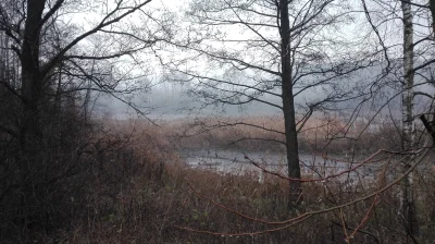 irytacjaniebosklonu - Kocham takie spokojne poranki. Gdy dobrze wiesz dokąd i po co i...