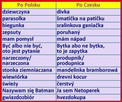 qlimax3 - Też macie czasem takie wrażenie jak słyszycie polskie znaczenie czeskich wy...
