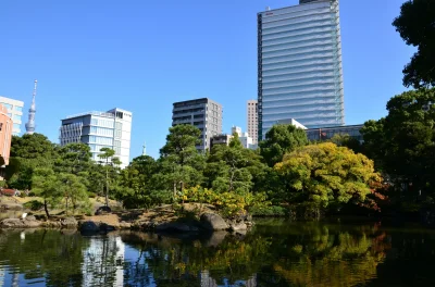 m.....o - #menciowjaponii #japonia #tokio mały ogród miejski. Oni mają takich pełno. ...