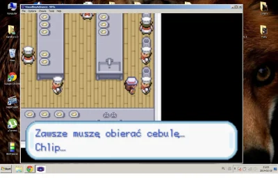 krolka89 - #cebula everywhere



#pokemon