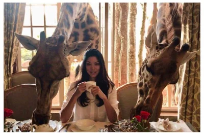 UniqueMoments - Urzekło nas to zdjęcie z Giraffe Manor w Kenii :) 



#podroze #p...