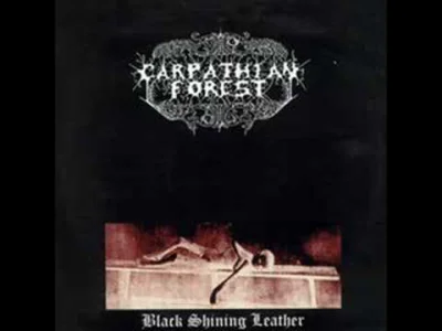 Perdition - Mam zajebistą kobietę i tylko to się liczy

#metal #blackmetal #carpath...