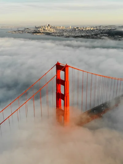 Alea1 - Golden Gate Bridge (ʘ‿ʘ)
autor: Riley #fotografia #podroze #cityporn #sanfra...